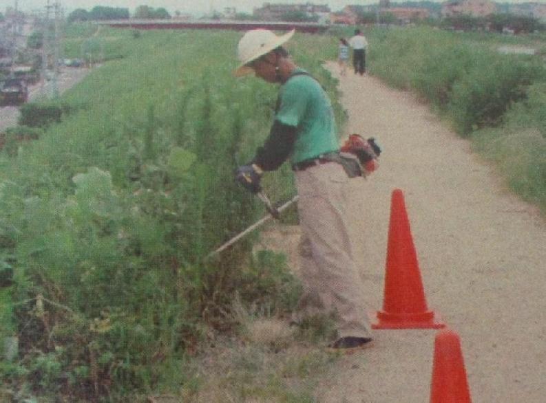 除草・清掃の写真