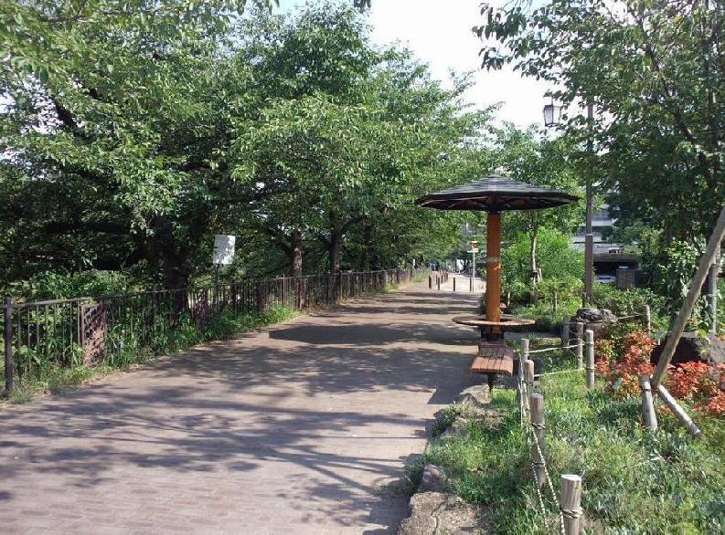 山崎川散策路整備の写真