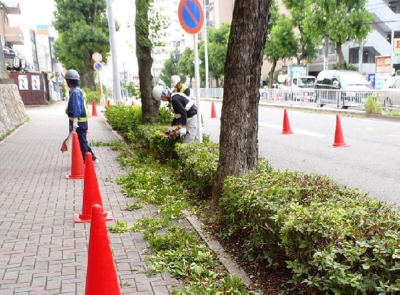 写真：低木刈込