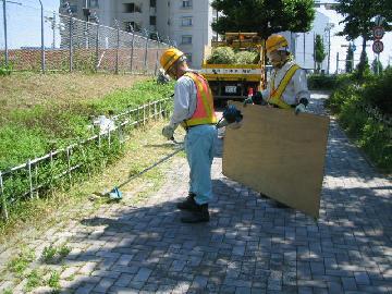 歩道上の除草の写真