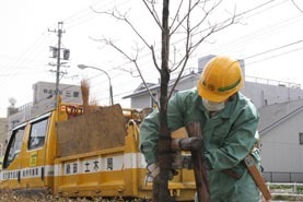 写真:土木事務所の作業風景