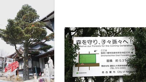 写真:中川区内にある保存樹、および緑地保全地区の案内看板