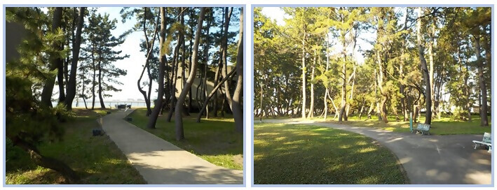 稲永公園の写真