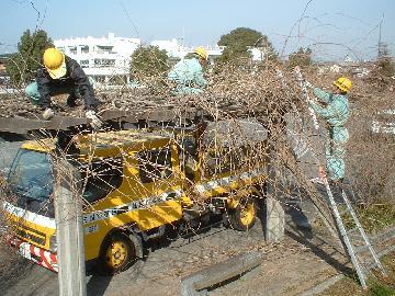 公園施設点検作業中の写真です。