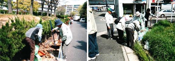 写真:愛護会活動の様子