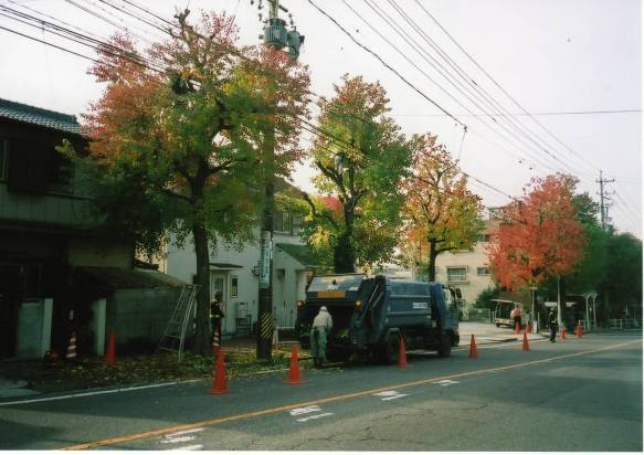 写真:街路樹の選定作業風景