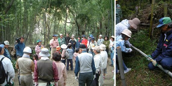 写真:みどりのパートナー活動の様子