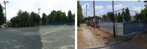 左:コート内の写真、右:コート外の写真