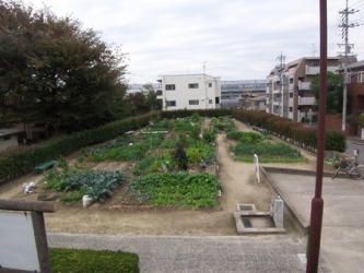 写真：明見緑地(分区園)概観