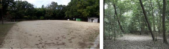 左:キャンプ広場の写真、右:キャンプサイトの写真