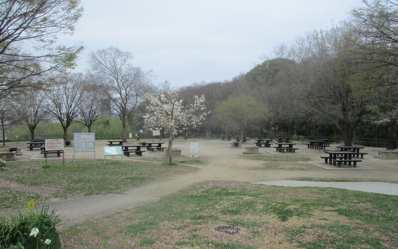 デイキャンプ場の写真1