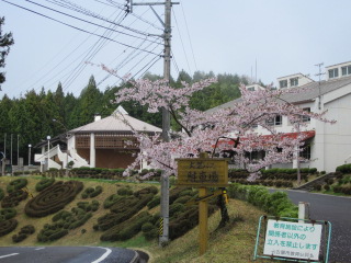 写真:体育館と管理棟の外観