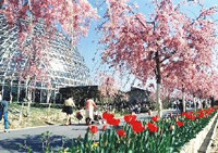 写真：東谷山フルーツパーク