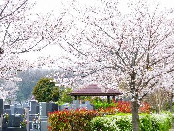 写真：みどりが丘公園墓地