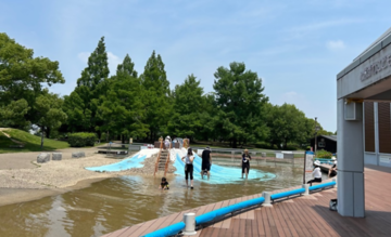 ぷくぷくたい池の写真