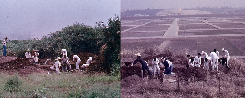 写真：見晴台遺跡2次調査の様子。麦藁帽子をかぶった在野の研究者の皆さんが調査中。現在は住宅地になった遺跡周辺も一面の田んぼが広がっている。丸窓土器もこのときに出土している。