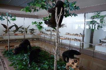 写真:鳥獣展示館