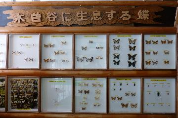 写真:鳥獣展示館2