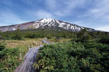 写真:田の原天然公園