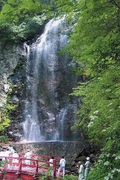 写真:新緑の清滝