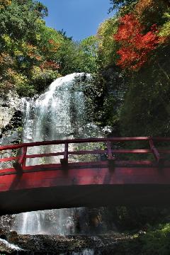 写真:紅葉の清滝