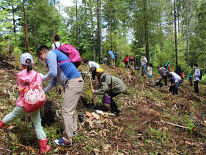 写真:植樹祭の様子
