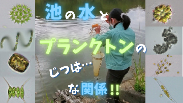 動画サムネイル:プランクトンからみる市内ため池の水質