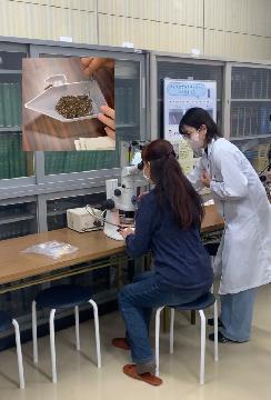 写真：海洋プラスチック