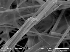 写真:拡大したアスベスト