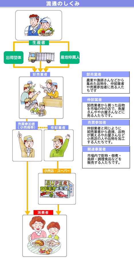 イラスト:生産者から出荷団体または産地仲買人、次に卸売業者、仲卸業者、売買参加者へ 次に小売店、スーパーまたは消費者へ
