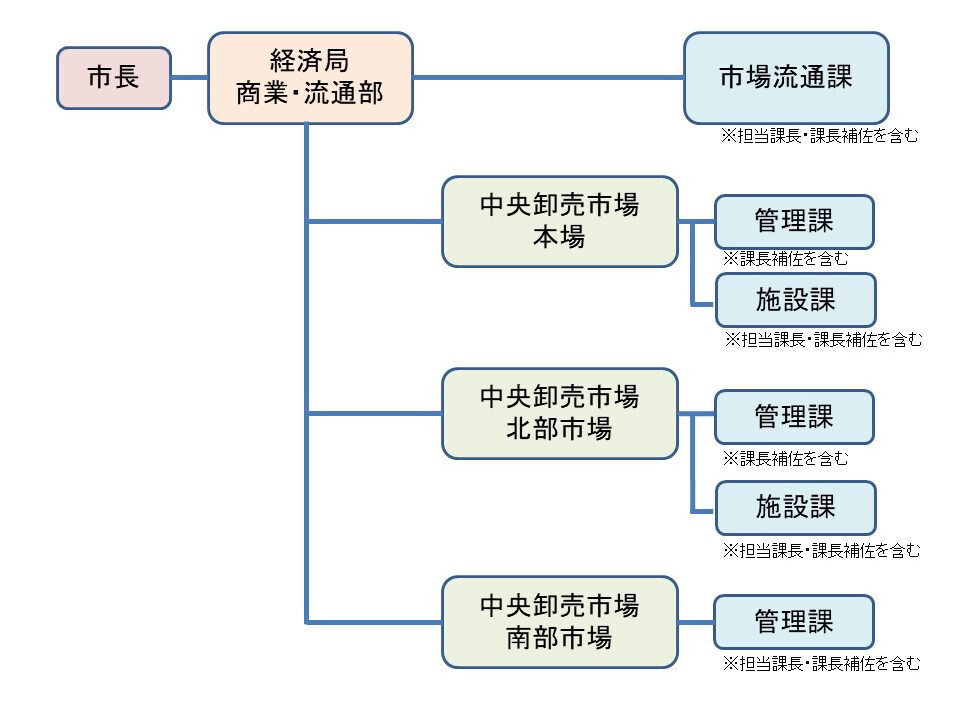 イラスト:中央卸売市場開設者の組織は、経済局商業・流通部にあります。中央卸売市場本場と中央卸売市場北部市場には管理課及び施設課があり、中央卸売市場南部市場には管理課があります。市場の総合調整をする部署が市場流通課です。