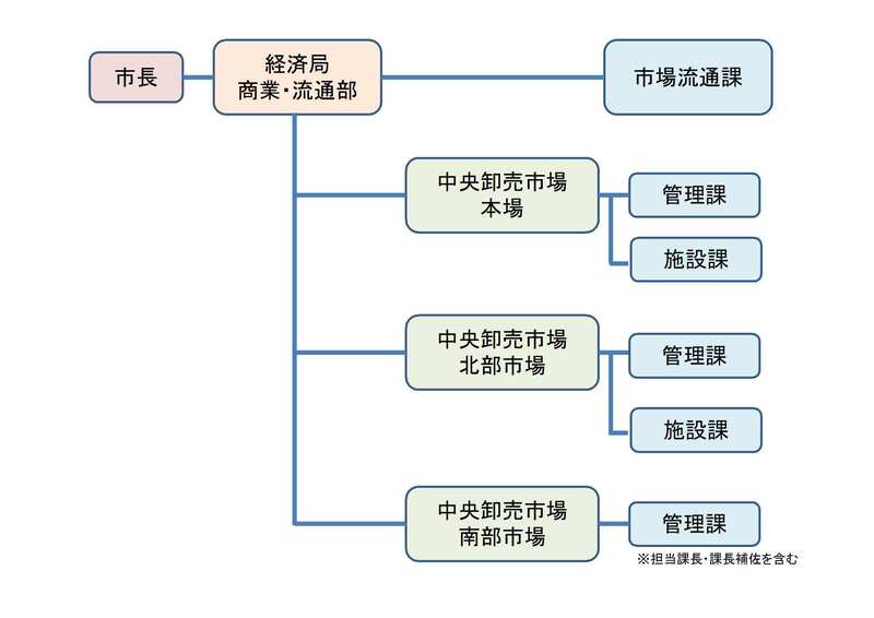イラスト：中央卸売市場開設者の組織は、経済局商業・流通部にあります。中央卸売市場本場と中央卸売市場北部市場には管理課及び施設課があり、中央卸売市場南部市場には管理課があります。市場の総合調整をする部署が市場流通課です。