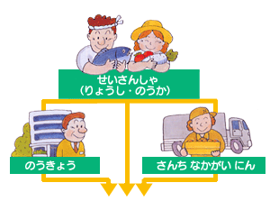 イラスト:生産者から農協または産地仲買人へそして市場へ