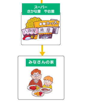 イラスト:市場の一日 スーパー、さかな屋、やお屋からみなさんの家へ
