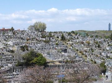 公募園内の写真