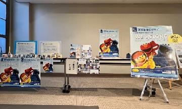 写真：市役所展示の様子