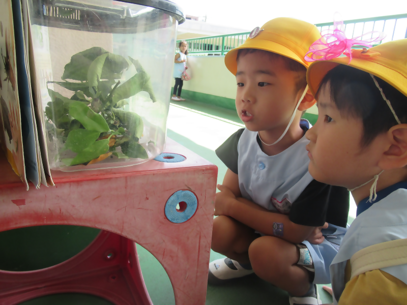 写真：緑区　桶狭間幼稚園「奨励園」受賞