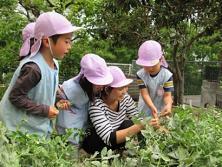 先生と子どもが草花とふれあっている写真