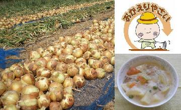 写真:たまねぎ畑とおかえりぼーやのイラストとクリーム煮