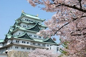 名古屋城天守閣と満開の桜の写真