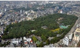 写真:熱田の杜全景