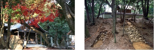 尾張戸神社古墳の墳丘上部（神社）の写真、墳丘と葺石の写真