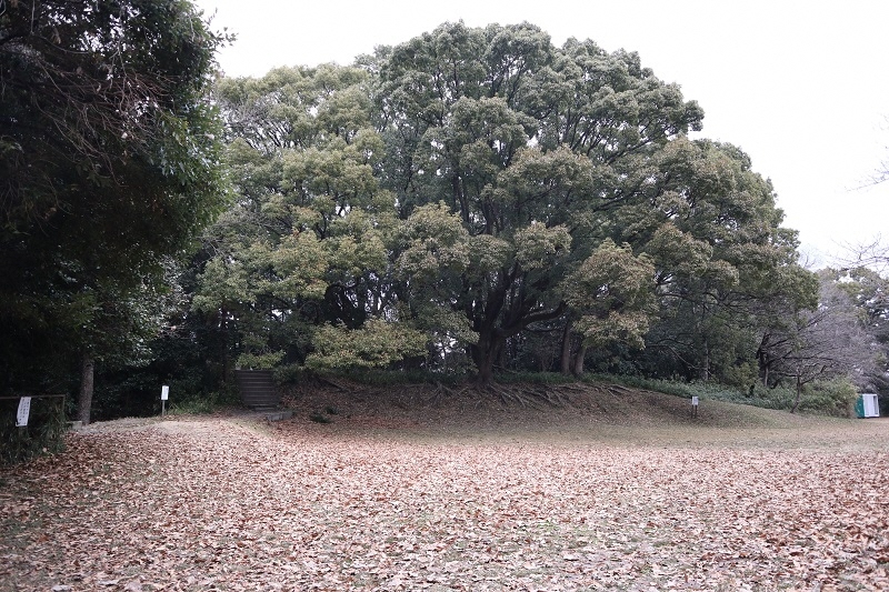 写真：大高城跡公園の風景
