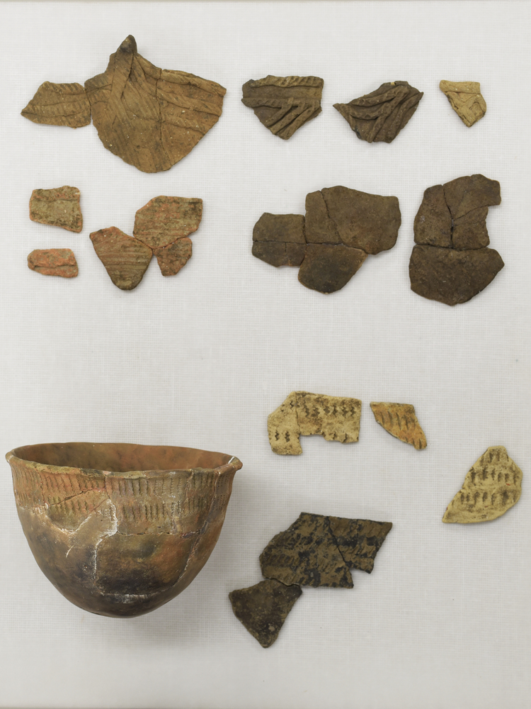 写真：今から約6,000年前の土器です