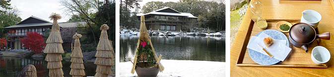 写真:冬の見どころ