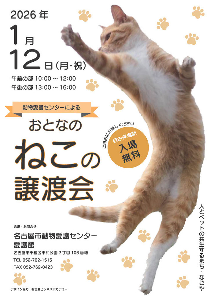1月12日猫の譲渡会のポスターです