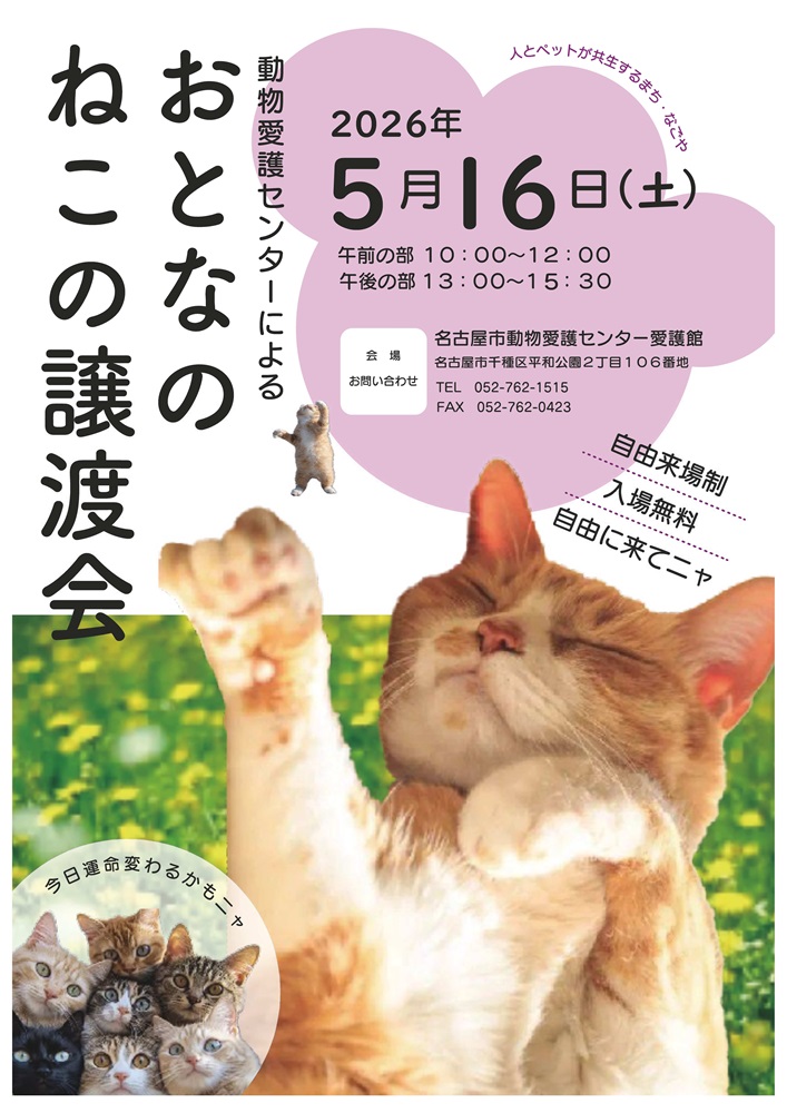 2026年5月16日開催予定の猫の譲渡会ポスターです。
