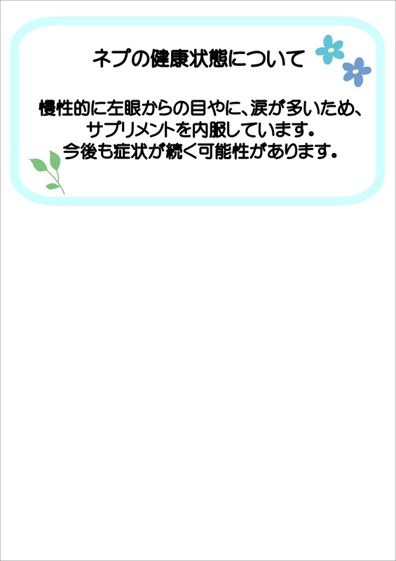 写真：飼主募集中猫ネプの健康状態の説明です。