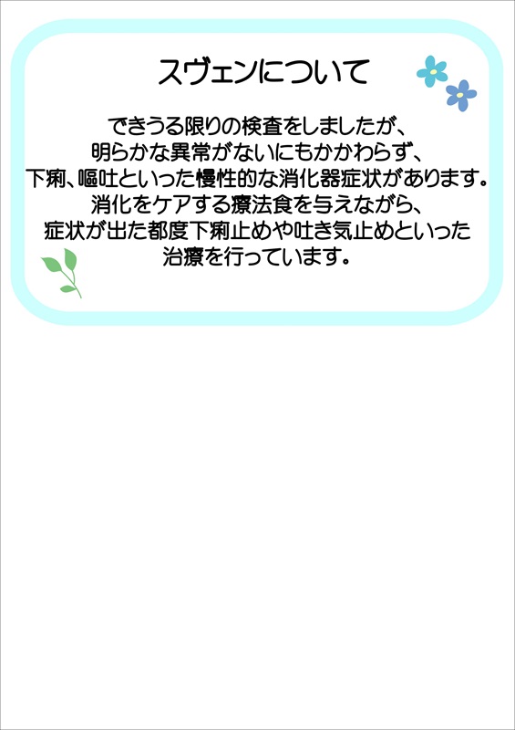 写真：飼主募集中猫スヴェンの健康状態の説明です。