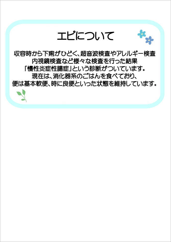 飼主募集中猫エピの健康状態の説明です。